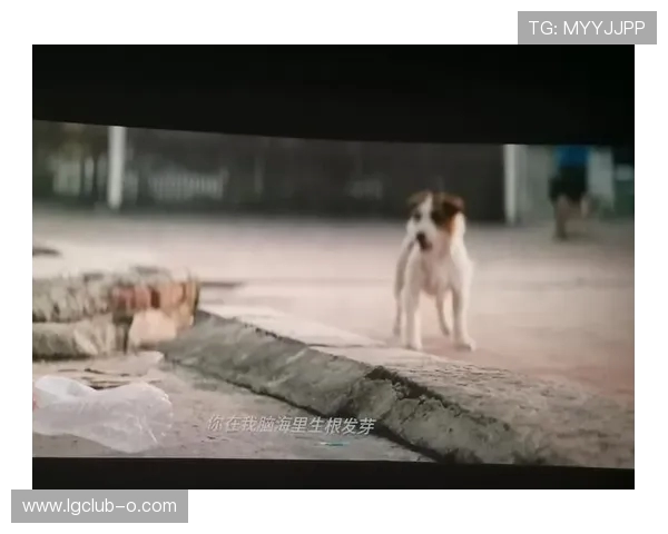 《当你走进别人家却发现他正在伤害自己心爱的狗》